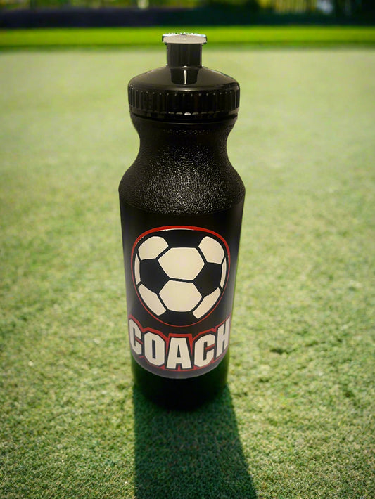 20 oz. Water Bottles with Push Cap